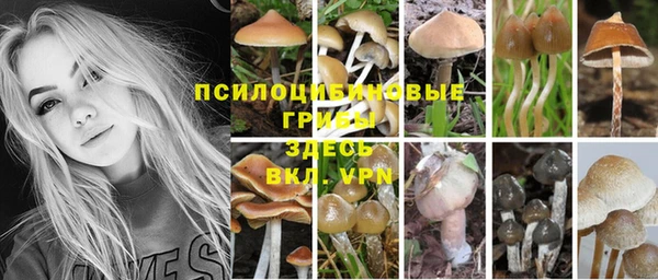 MDMA Богородск